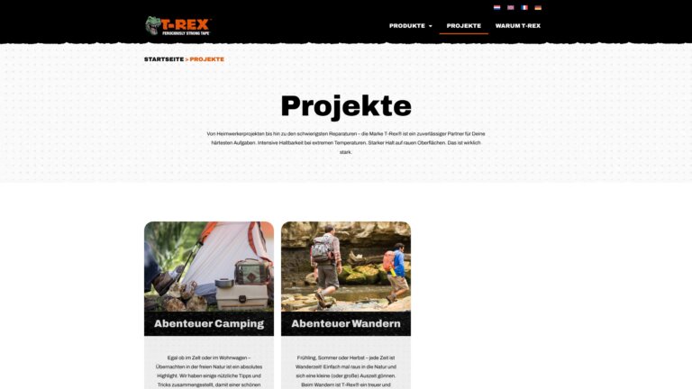 Screenshot Website T-Rex Kip GmbH ()